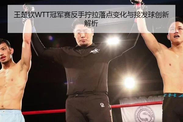 王楚钦WTT冠军赛反手拧拉落点变化与接发球创新解析