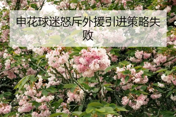shen-hua-qiu-mi-nu-chi-wai-yuan-yin-jin-ce-lve-shi-bai-2-640.jpg